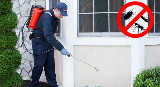 Mansuroğlu Dezenfeksiyon böcek ilaçlama ve haşere kontrolü — ilaclama-tr.com